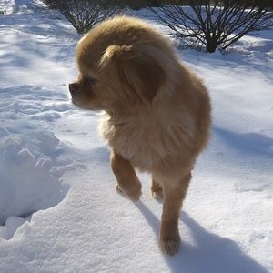 Meet your Posher, Franny